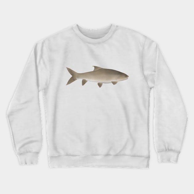 Soro Brook Carp Crewneck Sweatshirt by FishFolkArt